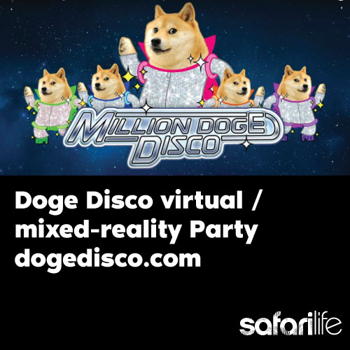 Doge Disco virtual mixed-reality Party